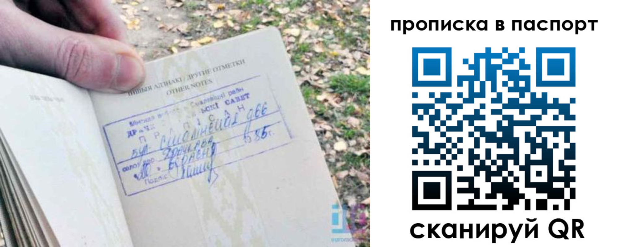 купить прописку в Краснодаре
